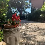 Casa Nel A 300 Mt Dal Mare A Appartamento *
